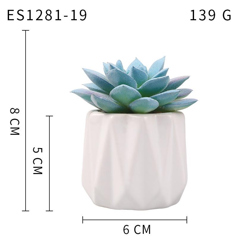 Small, Wavy Cup-Shaped Simulated Succulent Plant Potted Plant, Nordic Office Furniture Fresh Decoration