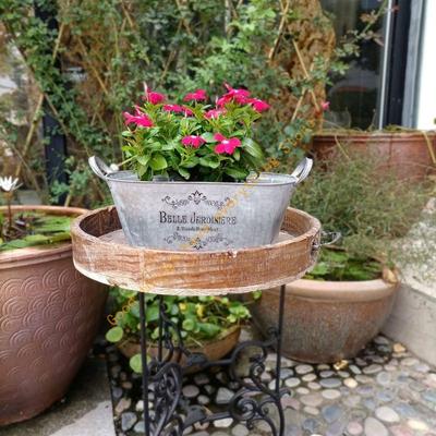Decorațiuni pentru casă – Ghivece de flori decorative
