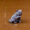 12pcs Detail Cats Model Figure Child Safe Decorative Figurine For Miniature Scene Display And Collector Doll House Props