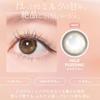 FLANMY 1day color contact lenses, 1 box of 10 lenses, 14.2mm, 14.5mm, 8.5mm, 8.6mm, Nozomi Sasaki, PWR: -8.50 / COLOR: Caramel Pie