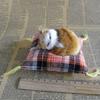 Simulation Cat Doll Plush Toy Mini Realistic Sleeping Kittens On Mat Figurine