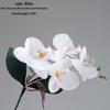 Starry Sky Milk Tea Phalaenopsis Orchid with Leaves - INS Style Faux Flower for Home Decor and Weddings