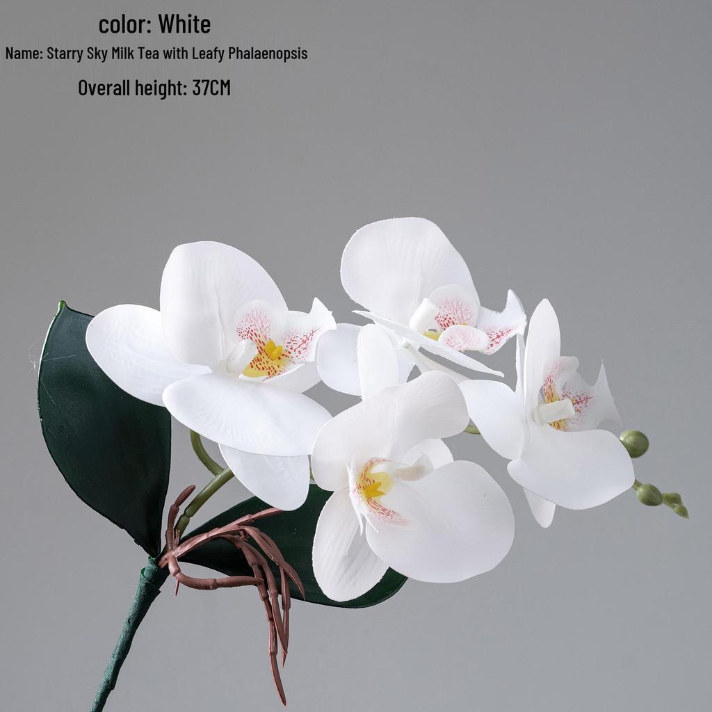Starry Sky Milk Tea Phalaenopsis Orchid with Leaves - INS Style Faux Flower for Home Decor and Weddings