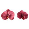 Headdress Simulated Flower Handmade Accessories Butterfly Orchid Flower Earring   Women