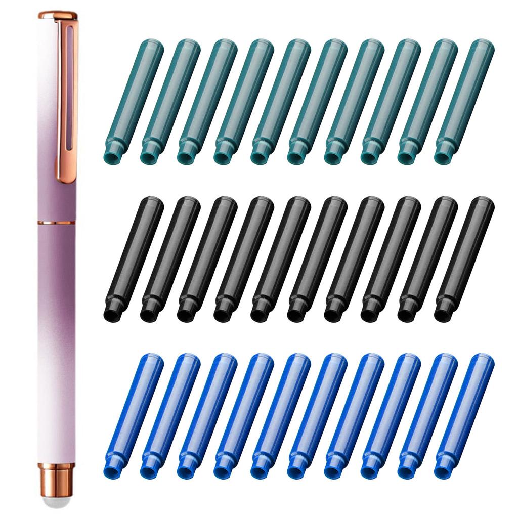 Metal Fountain Pen and 30 Inks Sac Set 0.38mm Tip Erasable for Beginner Student Adult Handwriting Drawing Journaling