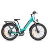 ENGWE E26 ST Dual Suspension All-Terrain E-bike 250W,48V 16AH