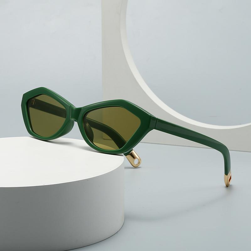 Cross-Border Specially Designed for Water Chestnut Cat-Eye Sunglasses Modern Retro Temples Decorative Sunglasses 2499