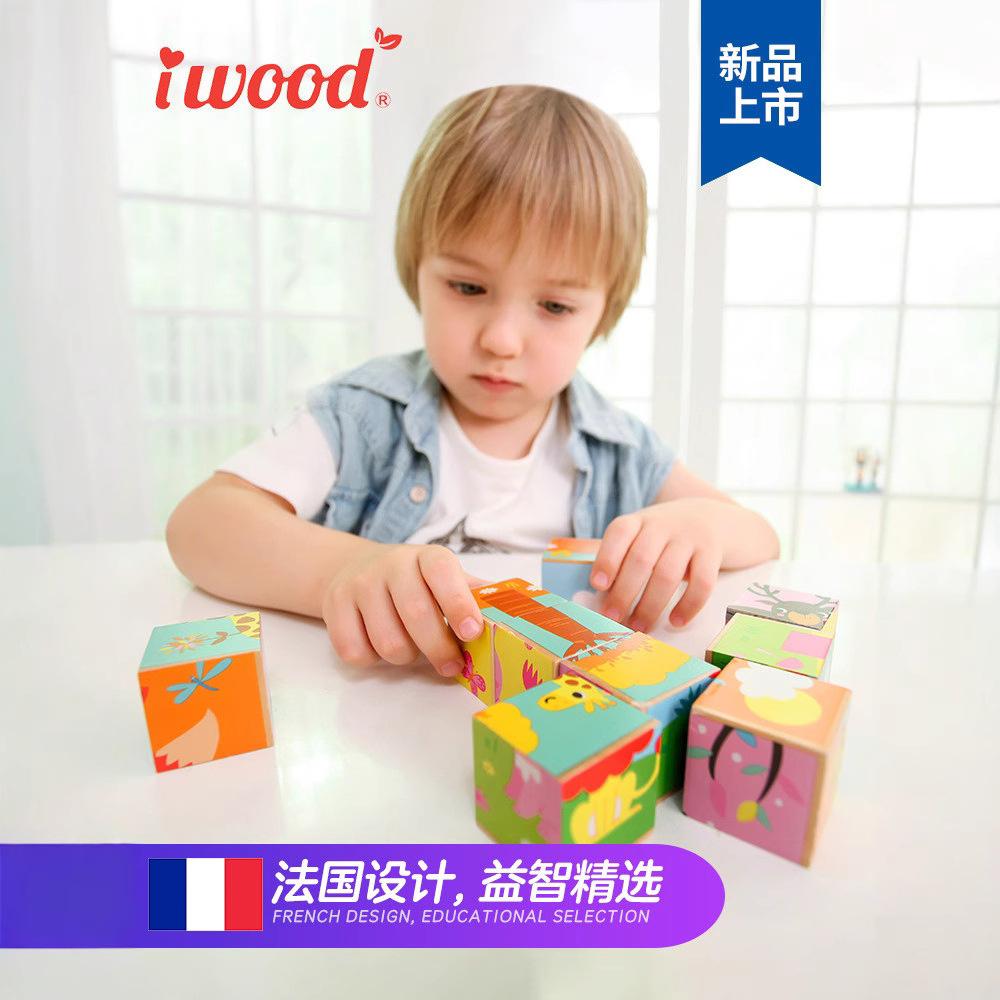 Iwood Children's Puzzle 1-3 Years Old Educational Toys Wooden Early Education 9 Six-sided Pictures