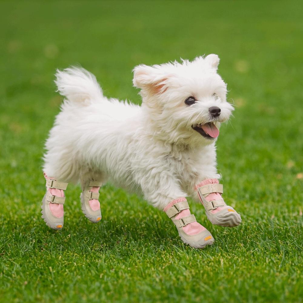 4pcs/set Warm Dog Cotton Shoes Breathable Soft Bottom Non-Slip Dog Shoes Waterproof Anti-dirt Pet Sneakers Outdoor Use