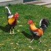 2 Pcs Rooster Chicken Lawn Stakes for Garden, Floor, Lawn, Outdoor Decoration