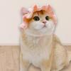 Pet Hat Delicate Hemming Pendant Decor High Elasticity Cute Pet Adjustable Strap Knitted Hat for Party