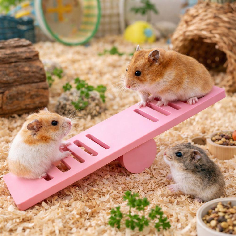 Pet Exercise Plastic Hamster Seesaw Puzzle Colorful Rodents Seesaw Creative Pet Cage Pet Sport Exercise