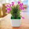 Beautiful Decoration Stylish Artificial Plant Indoor Welcoming 18cm Fresh Lily Flower Pinecone Plastic Potted Shop