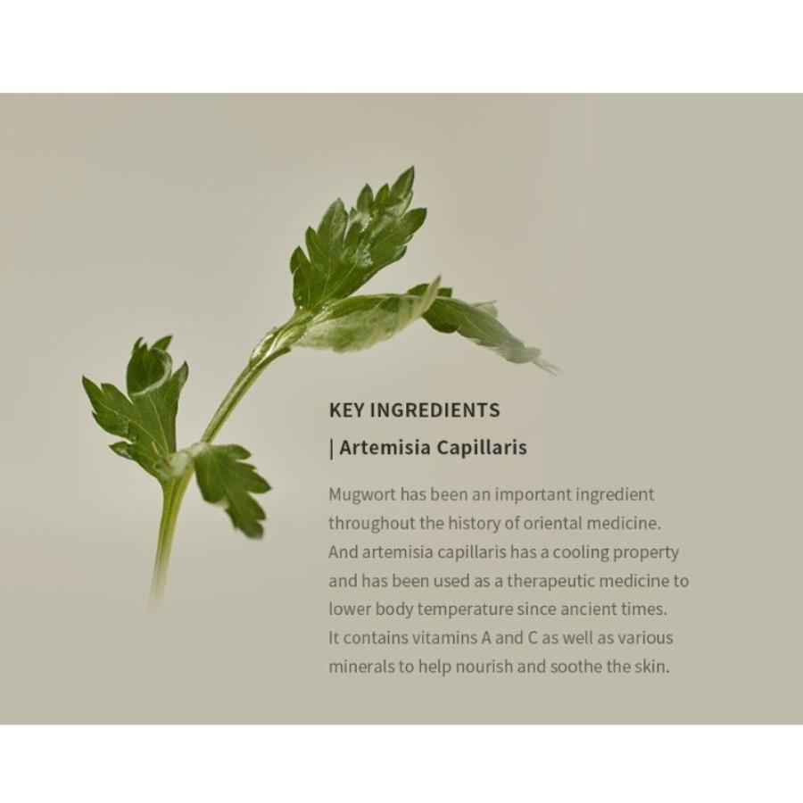 beauty of joseon Matte sun stick : Mugwort + Camelia