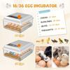 16/36 Egg Incubator for Hatching Chickens, Automatic Egg Turner, Clear Candler for Poultry, Duck, Goose Eggs