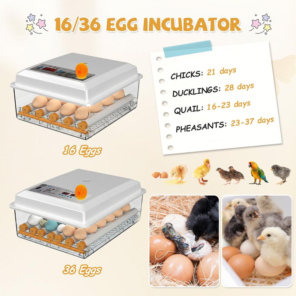 16/36 Egg Incubator for Hatching Chickens, Automatic Egg Turner, Clear Candler for Poultry, Duck, Goose Eggs