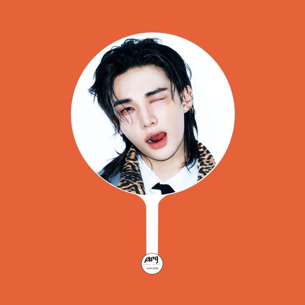 Stray Kids × ApopGong(EZ ÉS AZ)exkluzív KÉP ZÁSZló A változat Hyunjin black