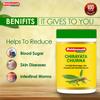 Baidyanath Chirayata Churna 100 g – Traditional Ayurvedic Powder for Digestion Support and Skin Wellness