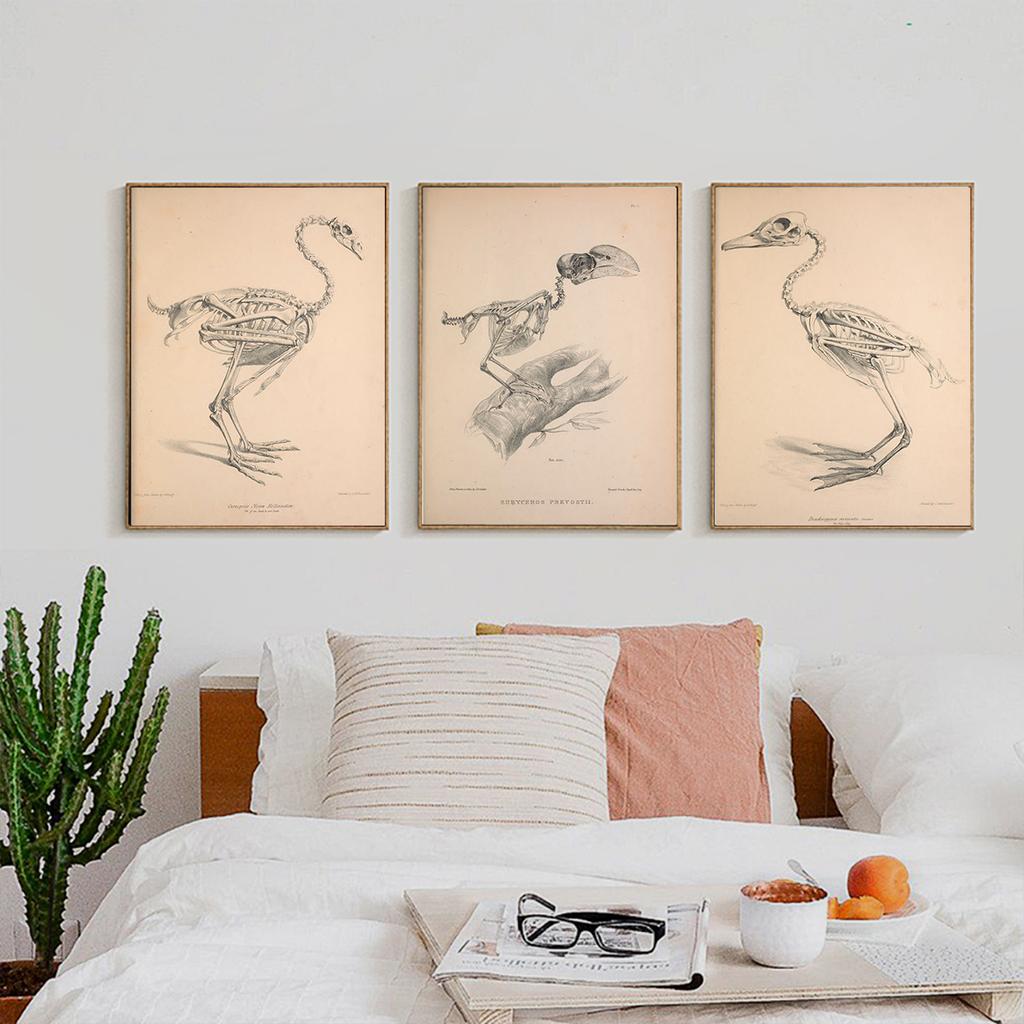 Nostalgic and Retro Bird Skeleton Painting Abstract Art Canvas Painting Contemporary Picture Prints and Poster Home Wall Decor
