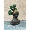 Latest Buddha Statue Under Tree | Home Figurine for Living Room, Gifting, Decor