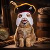 Justerbart Kæledyrshovedtøj Halloween Pirathat, Sort Hætte med Fjer, Sjov Kat Cosplay Dekorativ Hat til Små Kæledyr Ansigtsmaske Hunde Og Katte