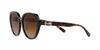 Coach Dark Tortoise Sunglasses Size 55 Women's HC8331,