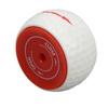 Golf Putting Practice Equipment Ball Adjustable Swing Training Outdoor Practice Accessory