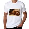 Chocolate Lab Tshirt Running Gym Short Sleeve Sports Tee