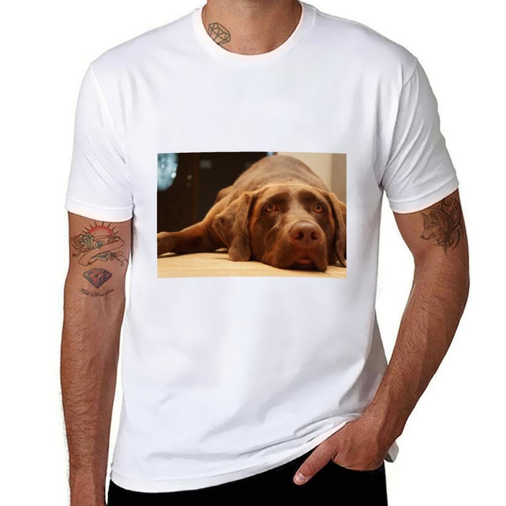 Chocolate Lab Tshirt Running Gym Short Sleeve Sports Tee