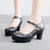 6 8 11 13cm Small Size 32-43 Comfortable Soft Leather Shoes Mary Janes 2025 Womens Block High Heels Shoes Dress Office Model Mom