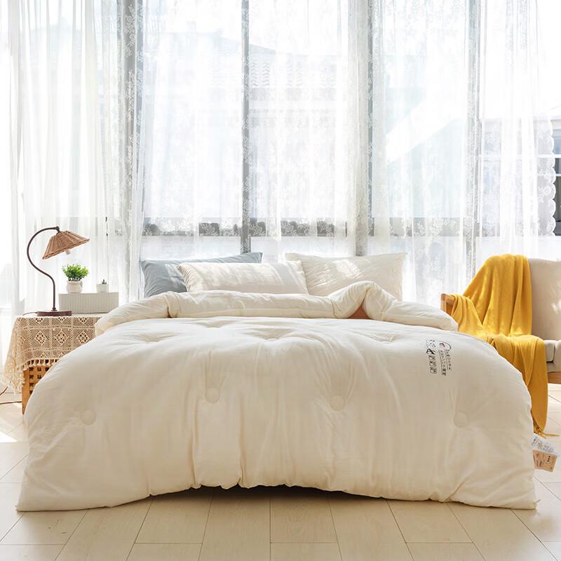 

Shengzhilan Skin-Friendly All-Season Soybean Fiber Quilt