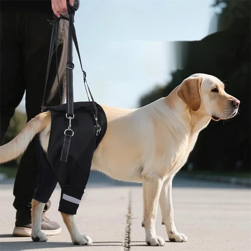 Dog Lift Harness Rear Leg Hip Support With Sturdy Handle Adjustable Soft Padded Pet Aid Assist Tool For Injured Or Elderly Dogs
