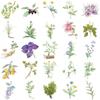 50 Sheets Creative Chinese Medicine Plants Cartoon Stickers for DIY Journal Decoration