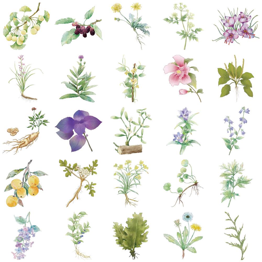50 Sheets Creative Chinese Medicine Plants Cartoon Stickers for DIY Journal Decoration