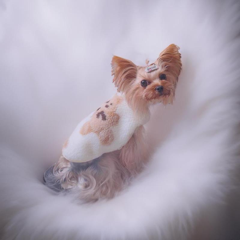 

Pet Winter Vest Dog Thickened Jacket Cat Dog Teddy Vest Clothes Milk Dog Autumn Winter XS chest 30 back 20 about 1 kg