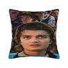 Steve Harrington Pillow Case  Soft Pillow Cover Fashion Cushion Cover For Sofa Home Decor