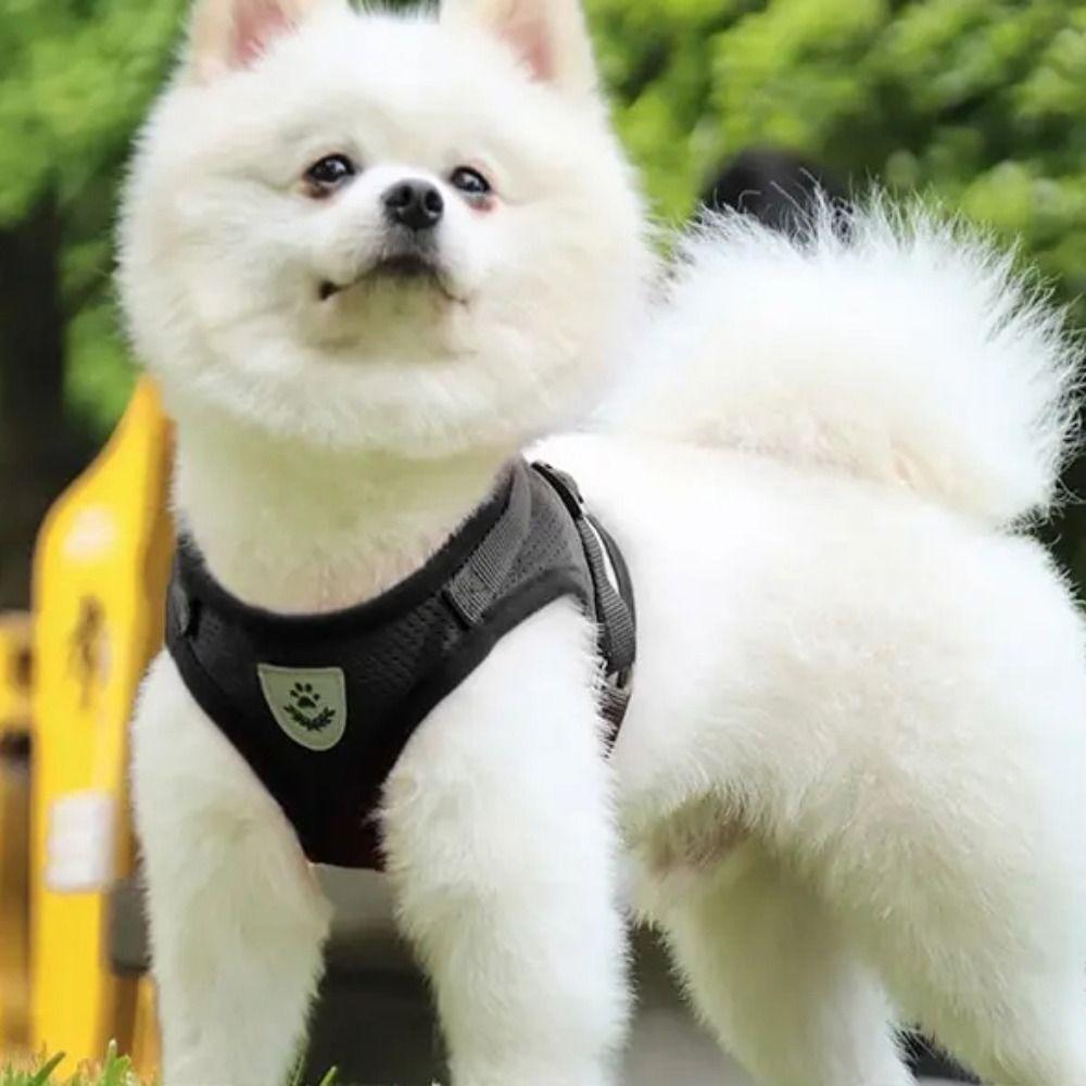 Polyester Pet Chest Strap Mesh Pet Vest Harness Dog Cat Accessories Cat Dog Harness  Pet