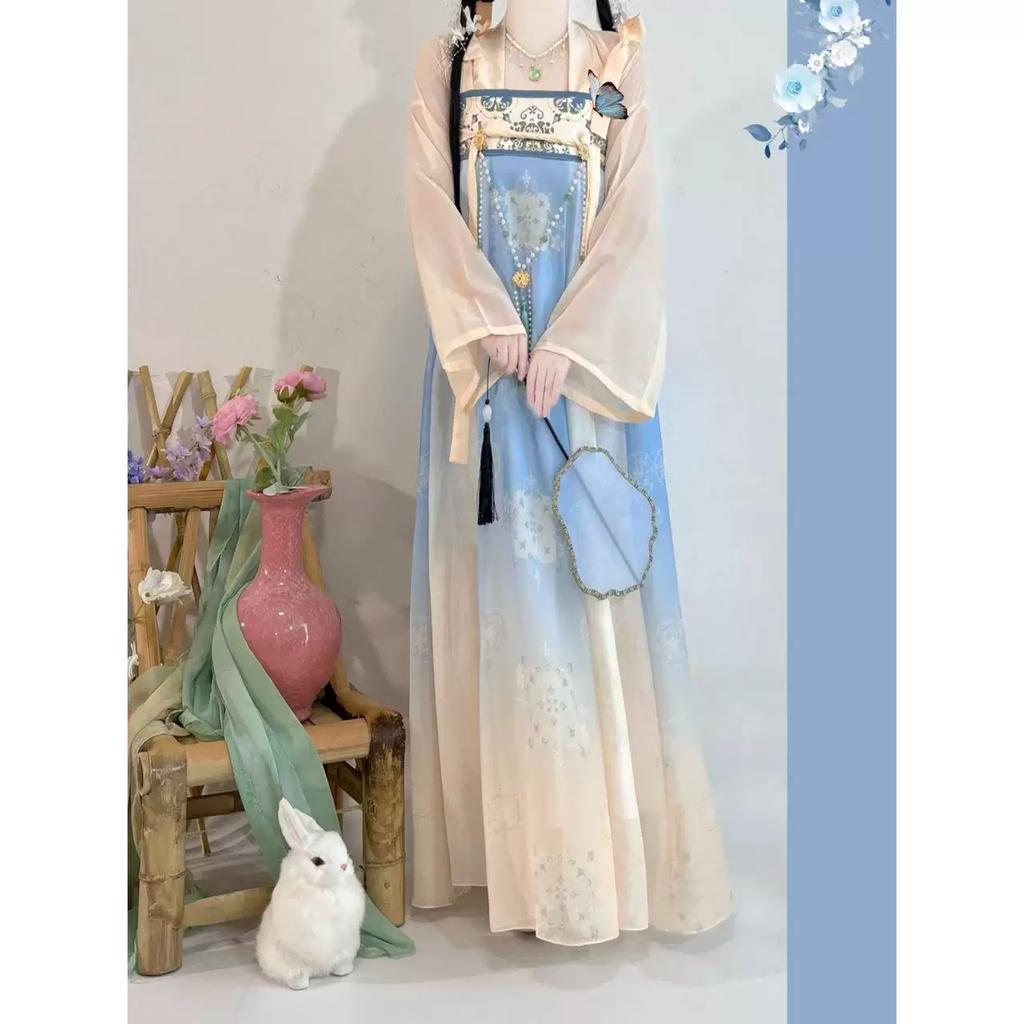 Women's Tang Dynasty Hanfu Set, Elegant High Waist Ruqun Skirt, Fairy Hanfu For Daily Spring Summer Wear