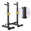 WEZHO Multifunctional Adjustable Weight Bench and Squat Rack