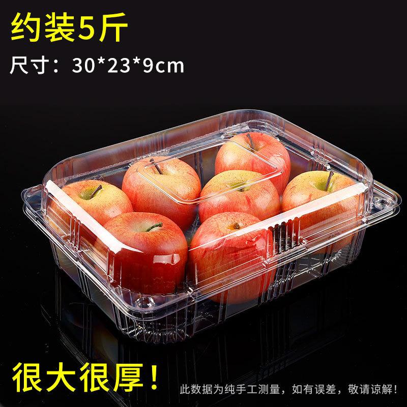 Tiemuyun Disposable Transparent Fruit Containers