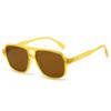 High-End Women's Retro Double Bridge Square Sunglasses