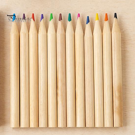 Basic Color Pencils 12PCS Colored for Kids, Bright Drawing Pencils, Art Non-toxic Wood Creation Smooth Wooden Coloring Book And School Supplies