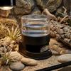 Plastic Automatic Water Dish Anti-slip Base Reptile Water Dispenser  for Amphibians