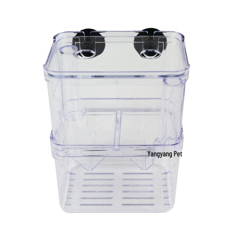 Acrylic Fish Breeding & Isolation Box for Guppies