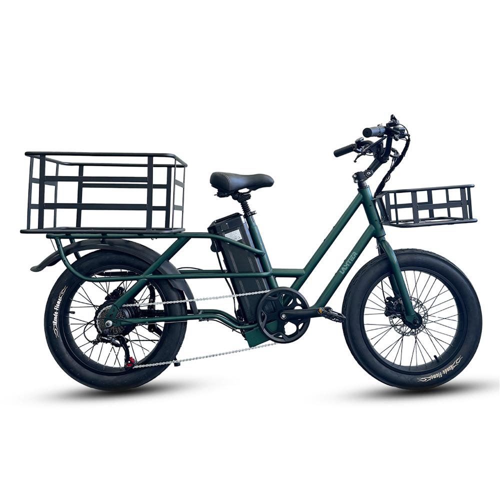 Elektrofahrräder Lamiter 20" 750W 48V 20.8AH Erwachsenen E-Bike Höchstgeschwindigkeit 45Km/h Maximale Reichweite 120Km Zuladung 300Kg K750