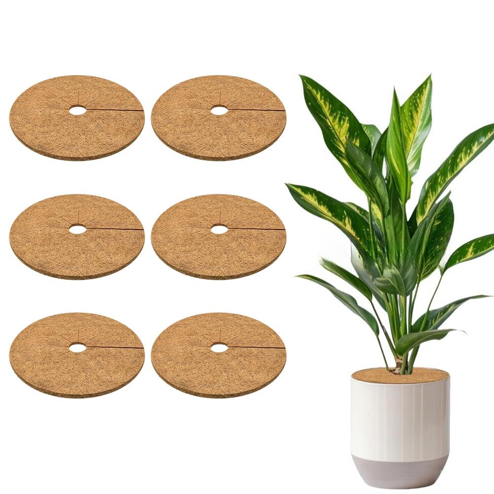 Improves Pot Aesthetics Coconut Coir Mat Plant Pot Mat Natural Coconut Fiber