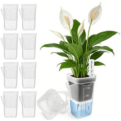 Ghivece cu Autoirigare Mini Plastic Translucid Ghivece pentru Răsaduri Tăieri Alocasia Violetă Africană Hoya