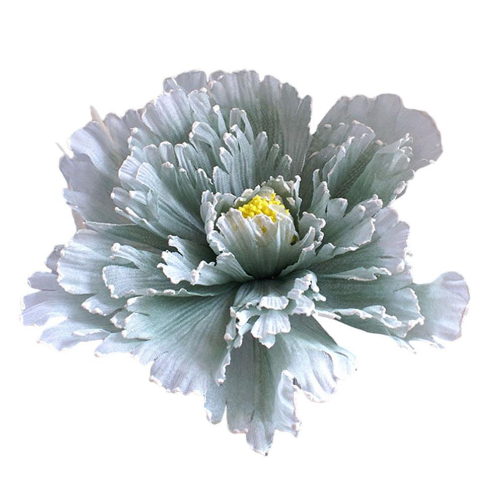 Peony Flower Flower Head Diameter Space Image Website