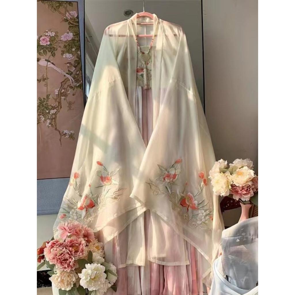 Chinese Tang Dynasty Style Hanfu Embroidered Large Sleeve Shirt HE ZI Skirt Daily Suit For Women
