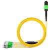 AMPCOM MPO-FC High-Density Fiber Optic Patch Cable